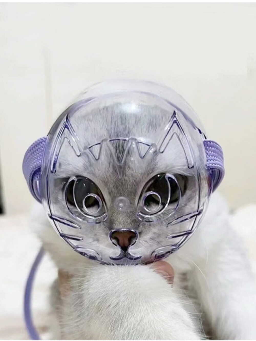 Cat Protective Face Shield with Adjustable Purple Strap